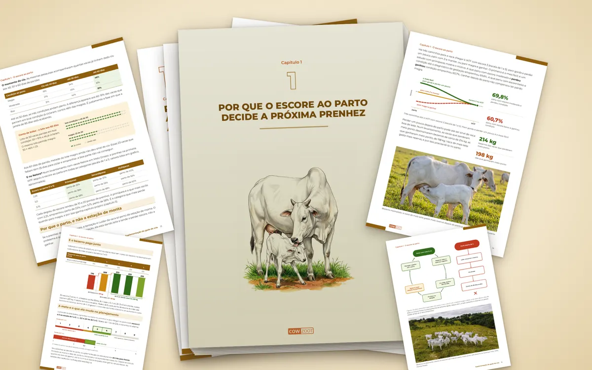 Páginas do capítulo Por que o escore ao parto decide a próxima prenhez