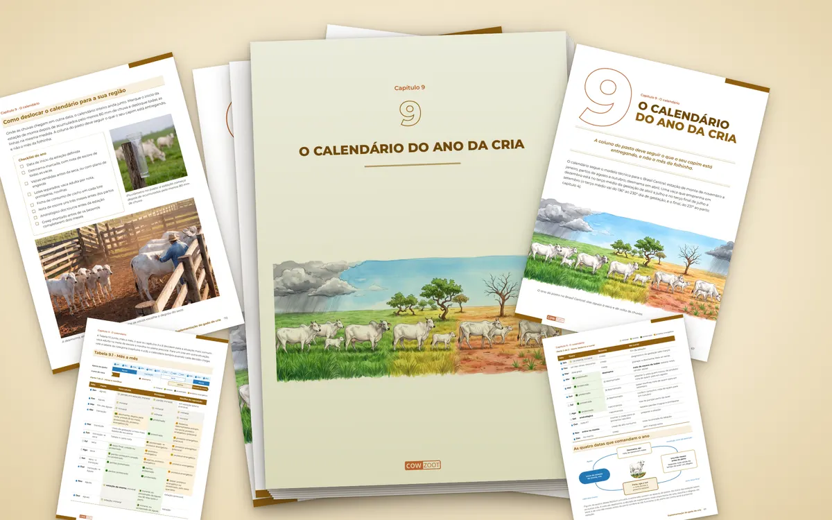 Páginas do capítulo O calendário do ano da cria