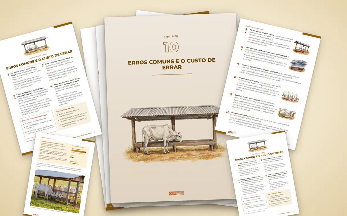 Páginas do capítulo Erros comuns