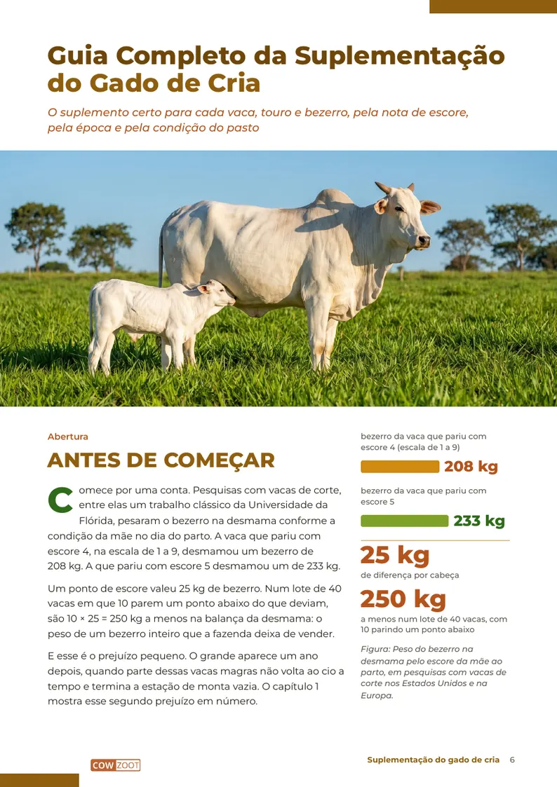 Página 6: Antes de começar: a conta que abre o livro