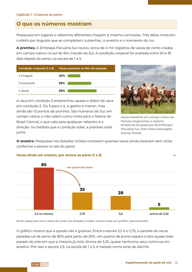 Página 12: O que os números mostram: escore e cio