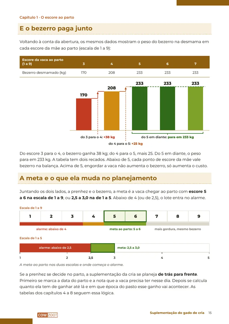 Página 15: O bezerro paga junto