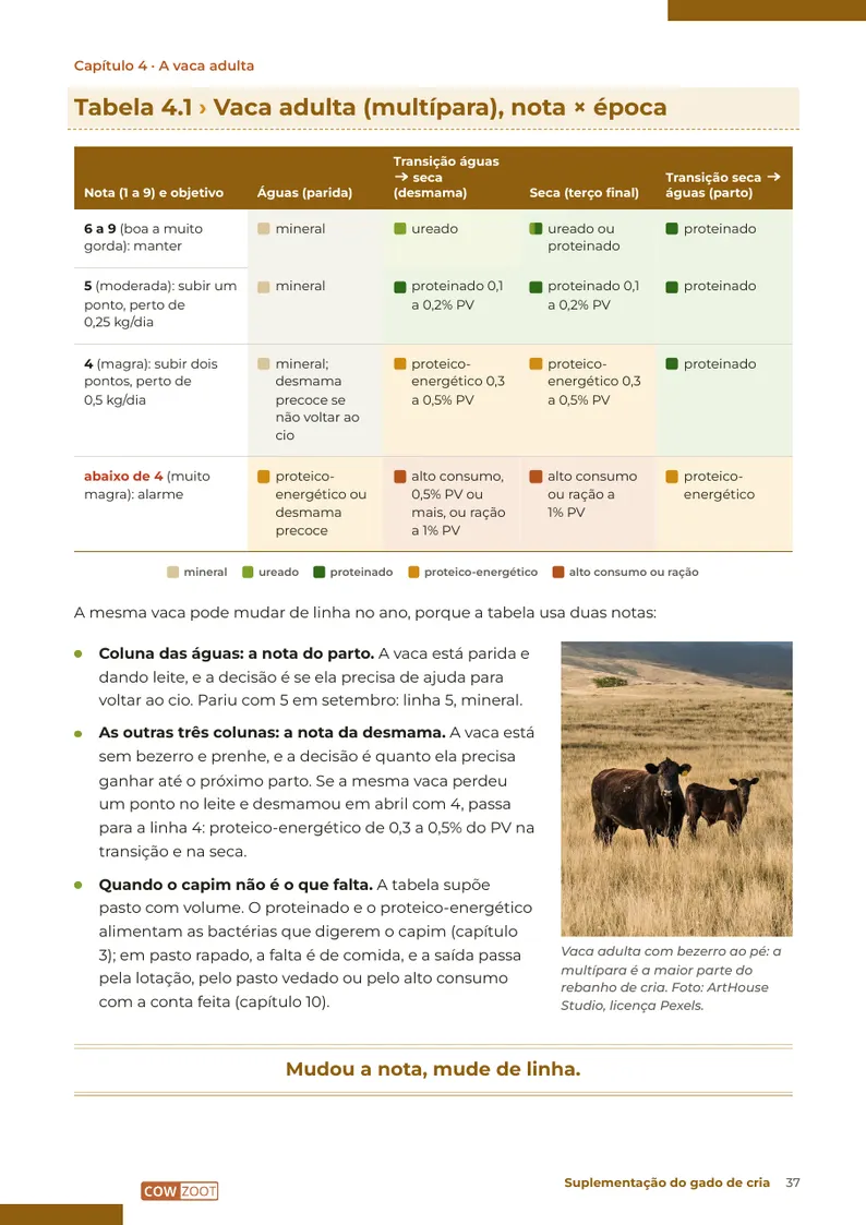 Página 37: Tabela 4.1: vaca adulta, nota × época