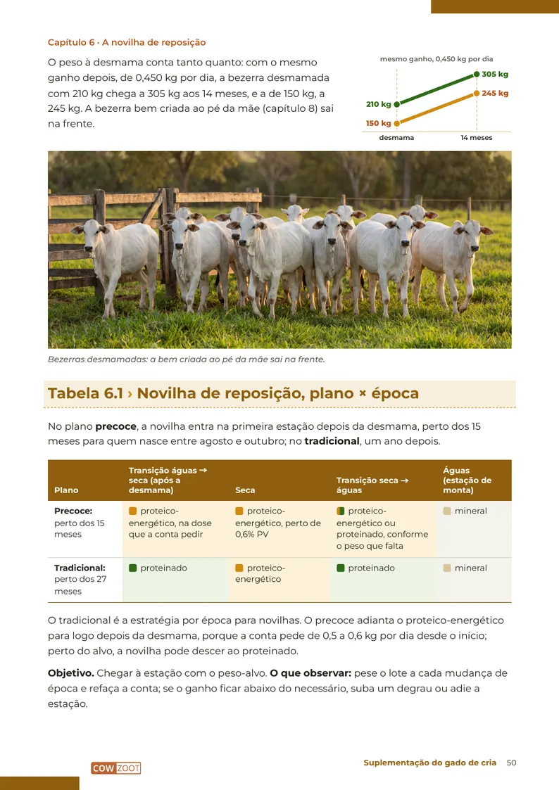 Página 50: Tabela 6.1: a novilha de reposição