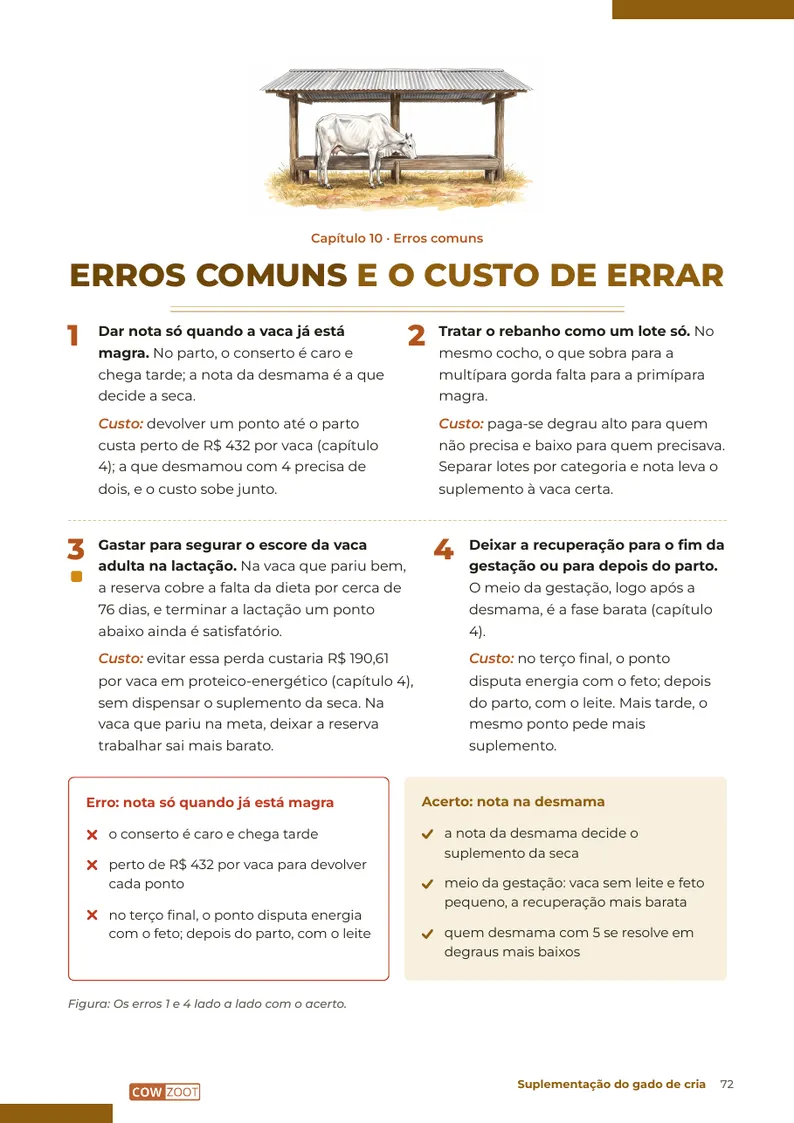 Página 72: Erros comuns e o custo de errar