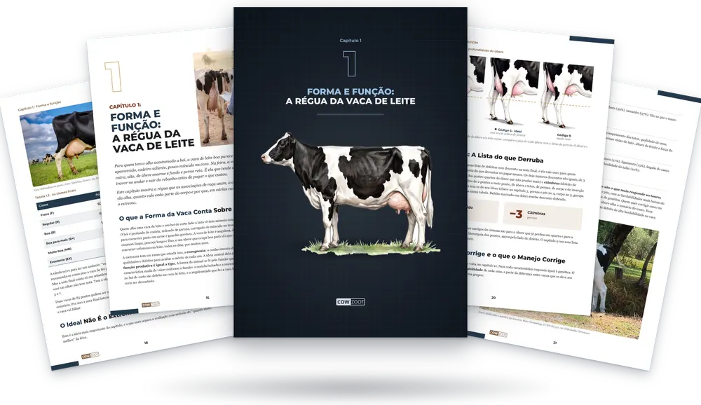Capítulo 1 do livro: a capa do capítulo no meio e páginas do capítulo em volta