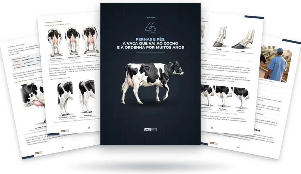 Capítulo 4 do livro: a capa do capítulo no meio e páginas do capítulo em volta
