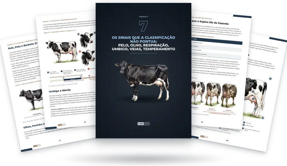 Capítulo 7 do livro: a capa do capítulo no meio e páginas do capítulo em volta