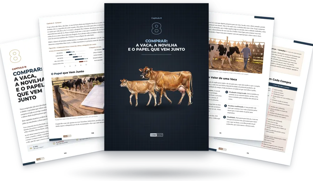 Capítulo 8 do livro: a capa do capítulo no meio e páginas do capítulo em volta