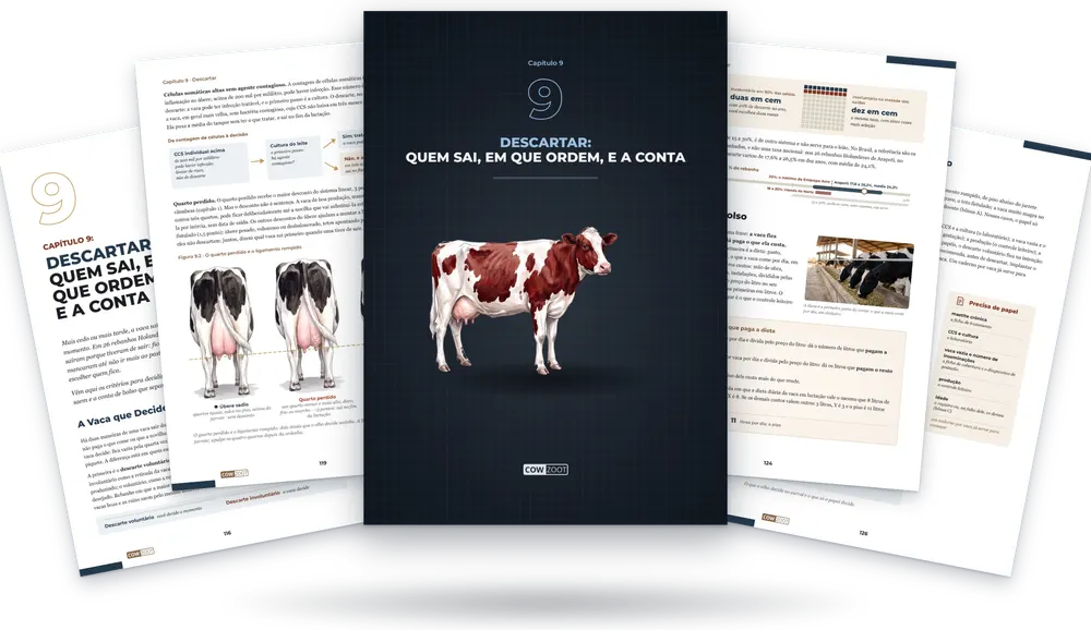 Capítulo 9 do livro: a capa do capítulo no meio e páginas do capítulo em volta