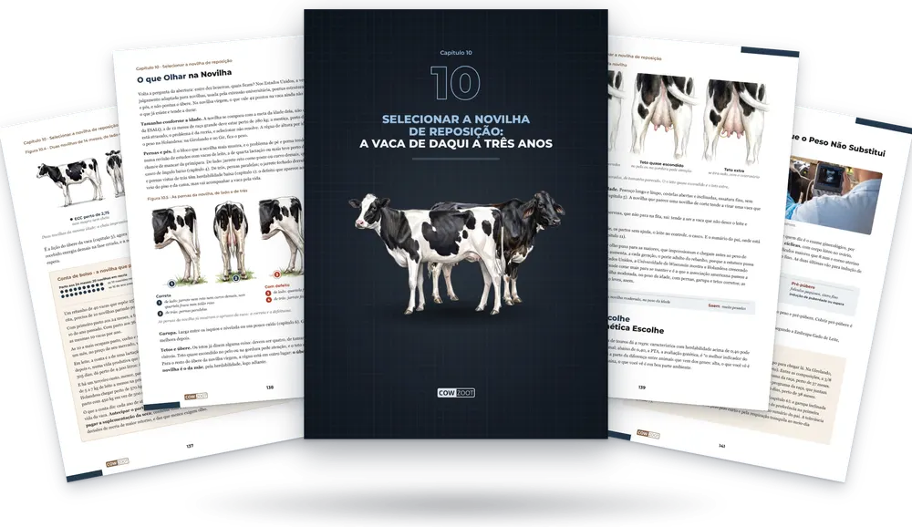 Capítulo 10 do livro: a capa do capítulo no meio e páginas do capítulo em volta