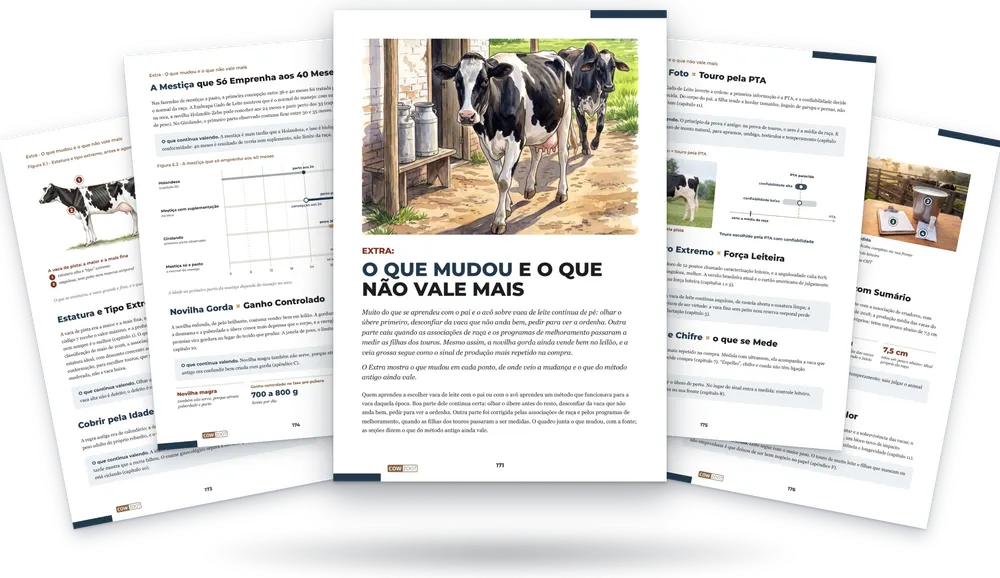 Extra do livro: a capa do capítulo no meio e páginas do capítulo em volta