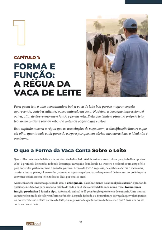 Página 15 do livro, capítulo 1