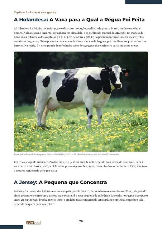 Página 26 do livro, capítulo 2