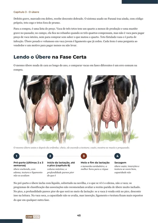 Página 45 do livro, capítulo 3