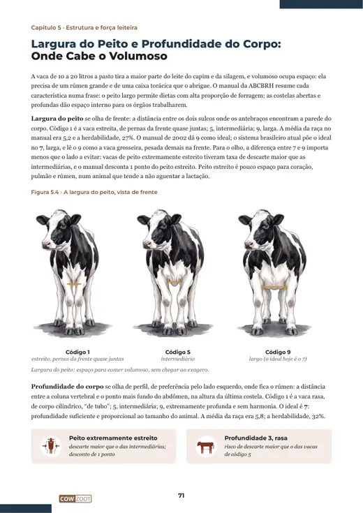 Página 71 do livro, capítulo 5