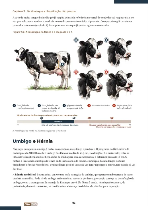 Página 93 do livro, capítulo 7