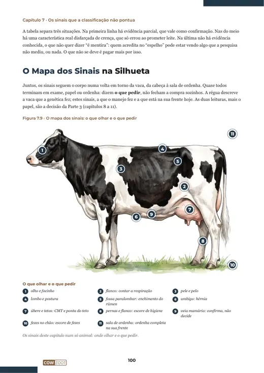 Página 100 do livro, capítulo 7