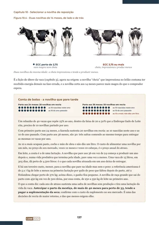 Página 137 do livro, capítulo 10