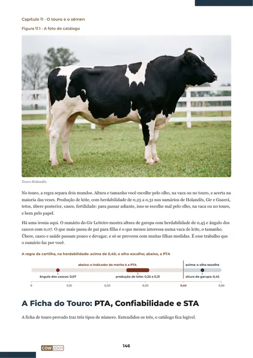 Página 146 do livro, capítulo 11