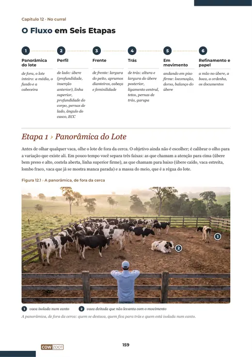 Página 159 do livro, capítulo 12