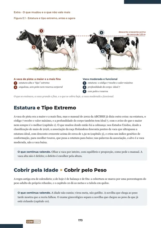 Página 173 do livro, extra