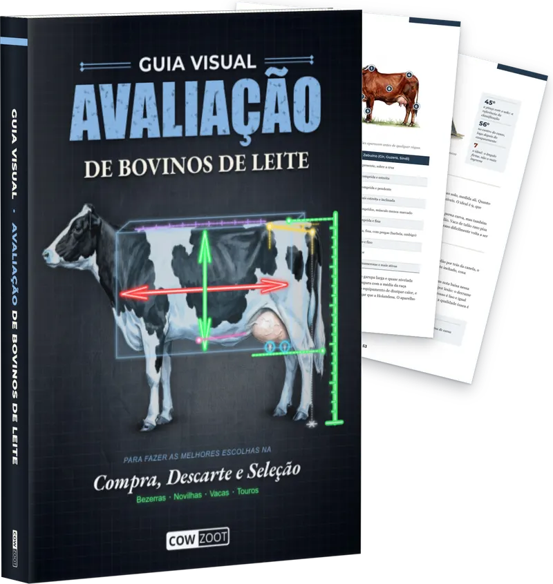 O livro impresso, com páginas reais abertas atrás