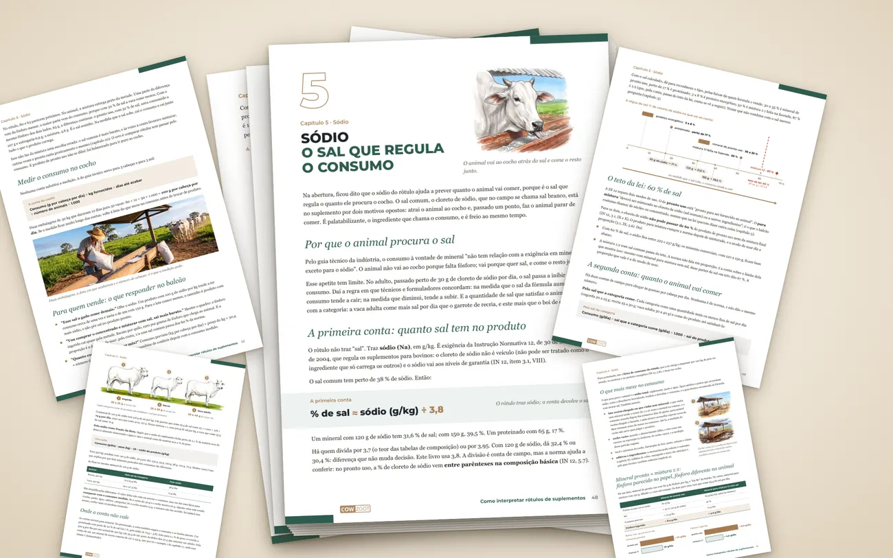 Páginas do capítulo Sódio