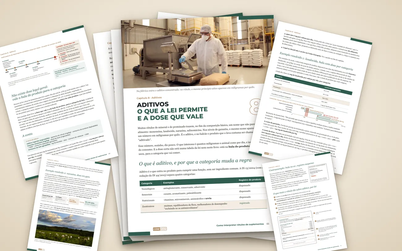Páginas do capítulo Aditivos
