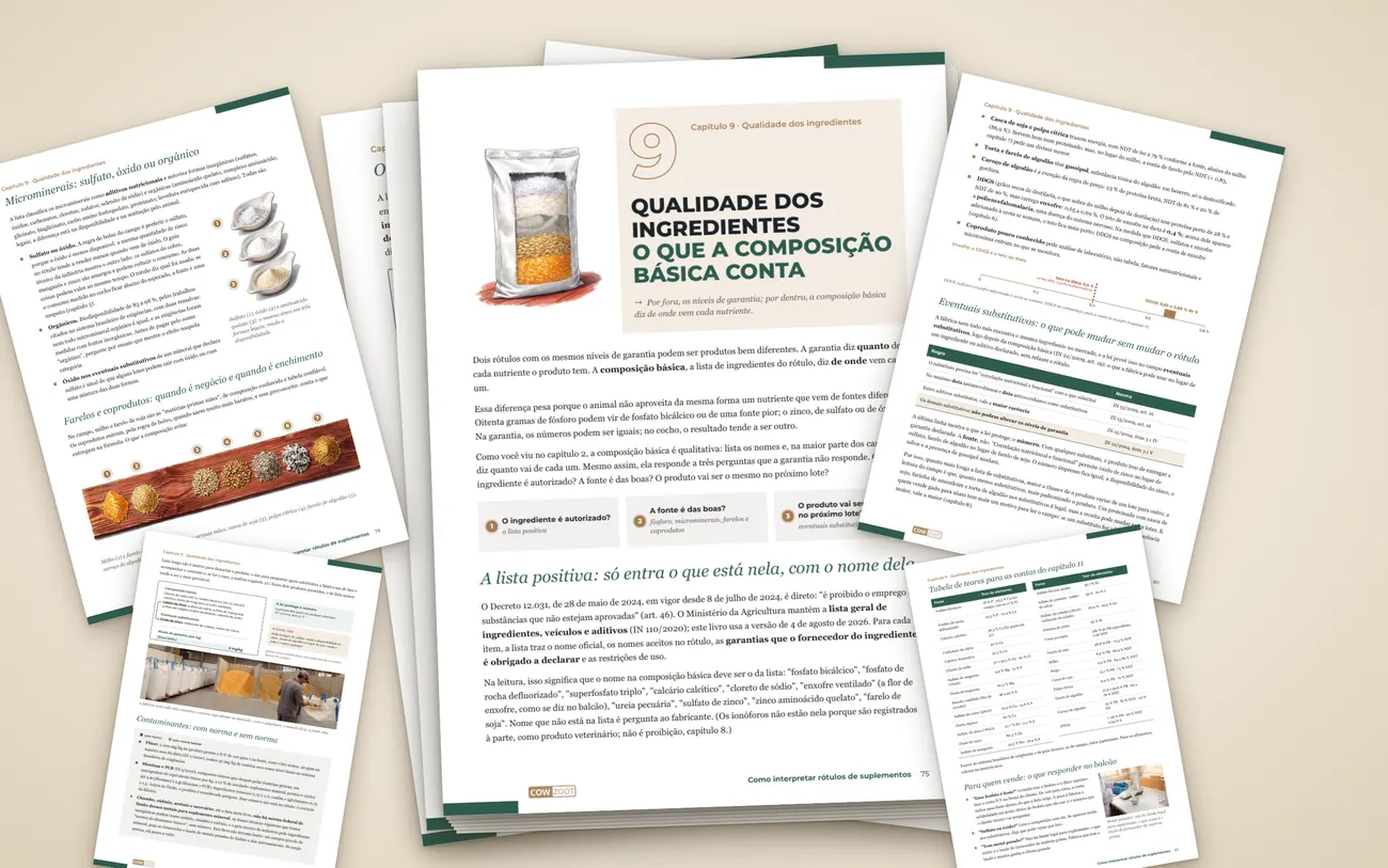 Páginas do capítulo Qualidade dos ingredientes