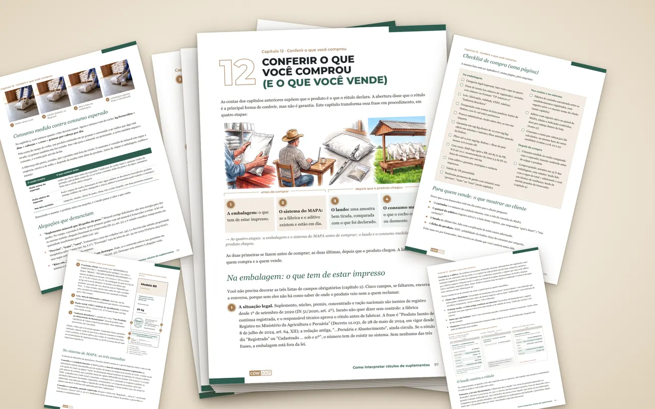 Páginas do capítulo Conferir o que você comprou