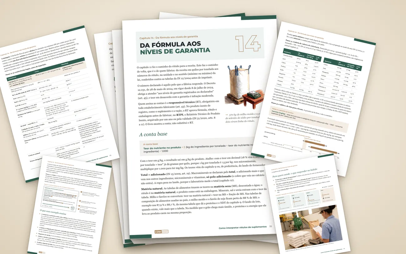 Páginas do capítulo Da fórmula aos níveis de garantia