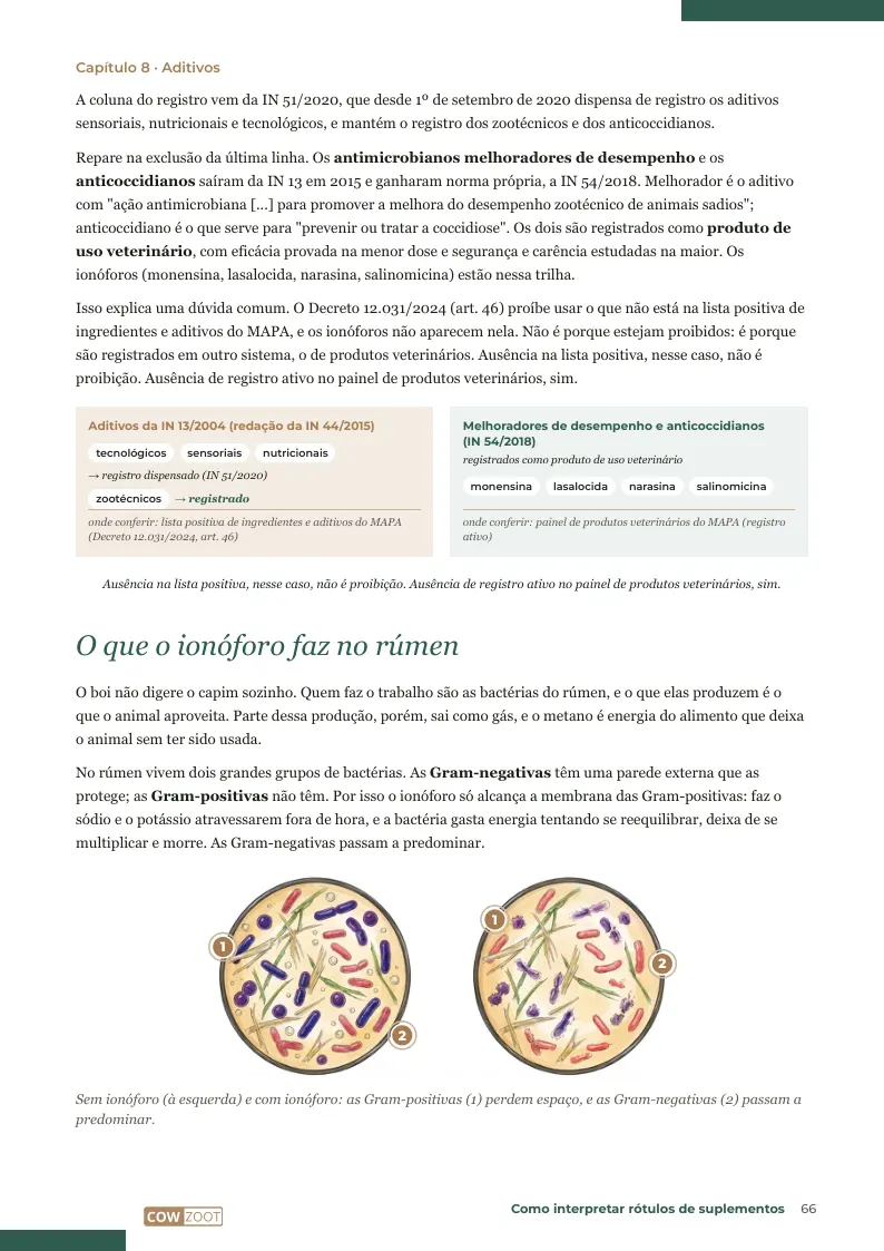 Página 66: O que o ionóforo faz no rúmen